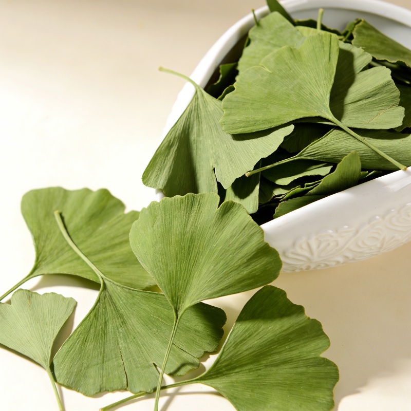 Quality Ginkgo Biloba Dried Le - Quality Home Fragrance recension och pris